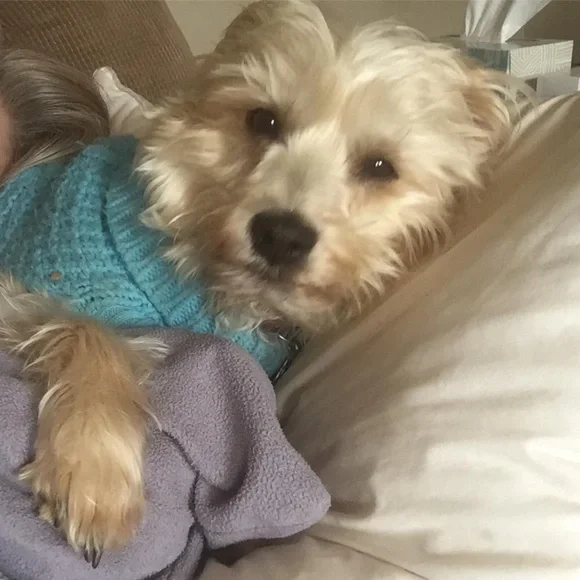 LIVE TODAY 1:00 PM EST FREE PEOPLE & HANDMADE KANTHAS/PATCHWORK PIECES π₯ - Picture 7 of 14